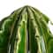 Hello Honey® 4" Green Cactus-Shaped Stoneware Juicer
